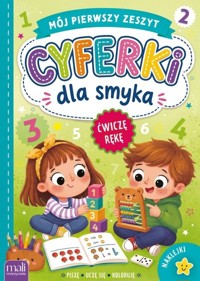 Cyferki dla smyka. Mój pierwszy zeszyt - zbiorowa praca - książka