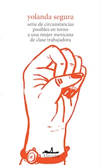 Serie de circunstancias posibles en torno a una mujer mexicana de clase trabajadora - Yolanda Segura - ebook