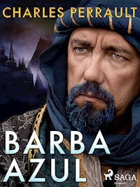 Barba Azul - Perrault Charles - ebook