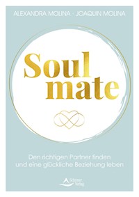 Soulmate - Molina Alexandra - ebook