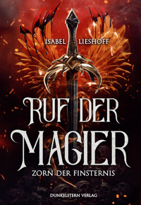 Ruf der Magier - Zorn der Finsternis - Isabel Lieshoff - ebook