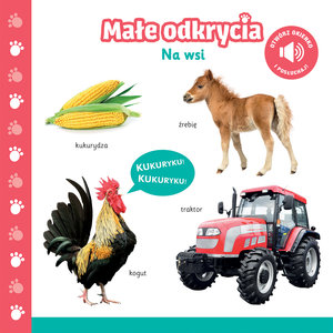 Małe odkrycia. Na wsi - zbiorowa praca - książka