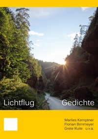 Lichtflug - Marlies Kemptner - ebook