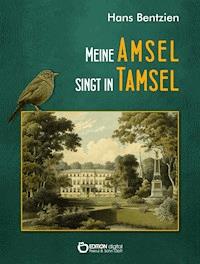 Meine Amsel singt in Tamsel - Hans Bentzien - ebook