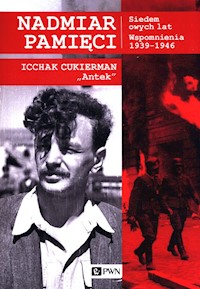 Nadmiar pamięci - Cukierman Icchak - książka