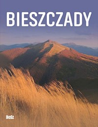 Bieszczady -  - książka