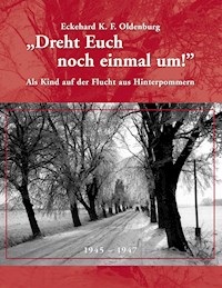 Dreht Euch noch einmal um! - Eckehard K. F. Oldenburg - ebook