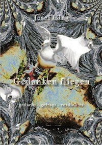 Gedanken fliegen - Josef Ising - ebook