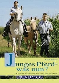 Junges Pferd - was nun? - Karin Tillisch - ebook