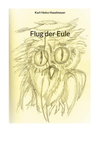 Flug der Eule - Karl-Heinz Haselmeyer - ebook