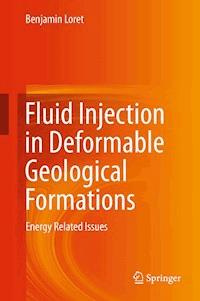 Fluid Injection in Deformable Geological Formations - Benjamin Loret - ebook