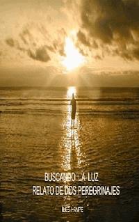 Buscando la luz - Ilse Hampe - ebook