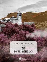 Ein Pyrenäenbuch - Kurt  Tucholsky - ebook