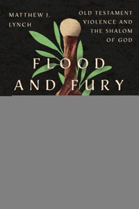 Flood and Fury - Matthew J. Lynch - ebook