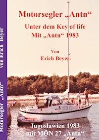 Motorsegler Antn - Erich Beyer - ebook