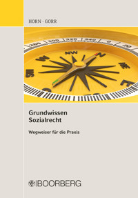 Grundwissen Sozialrecht - Robert Horn - ebook