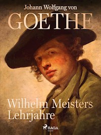 Wilhelm Meisters Lehrjahre - Johann Wolfgang von Goethe - ebook