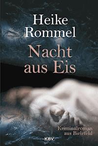 Nacht aus Eis - Heike Rommel - ebook