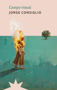Campo visual - Jorge Consiglio - ebook