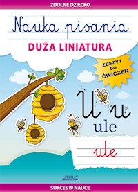 Nauka pisania Duża liniatura - Beata Guzowska - książka