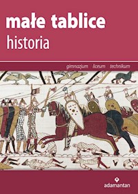 Małe tablice Historia -  - książka