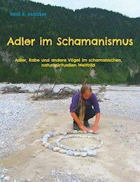 Adler im Schamanismus - Wolf E. Matzker - ebook