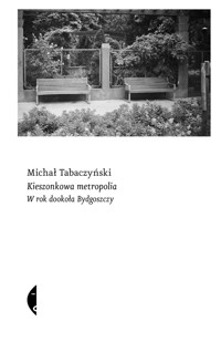 Kieszonkowa metropolia. W rok dookoła Bydgoszczy - Michał Tabaczyński - ebook + książka