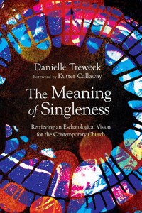 The Meaning of Singleness - Danielle Elizabeth Treweek - ebook